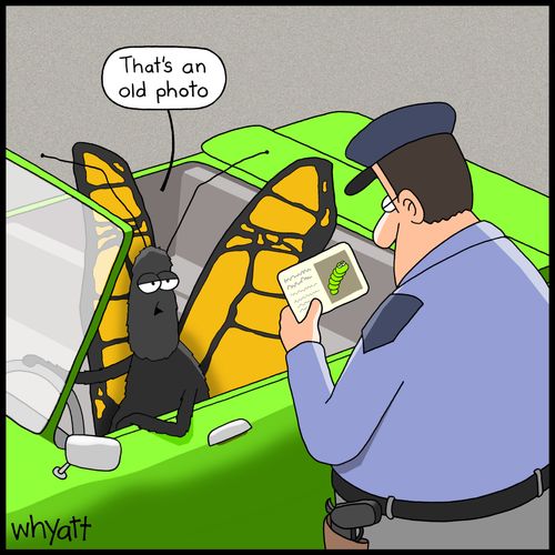 "That's an old photo."