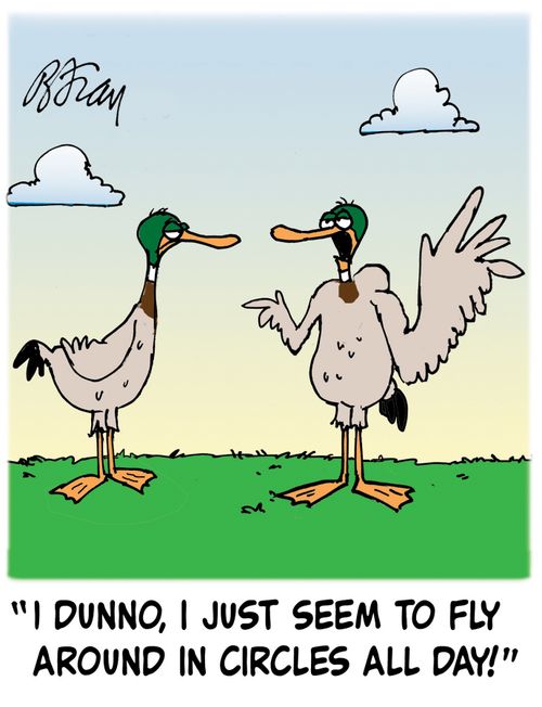'I dunno, I just seem to fly around in circles all day!'