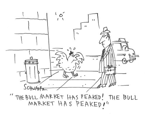 "The bull market has peaked! The bull market has peaked!"