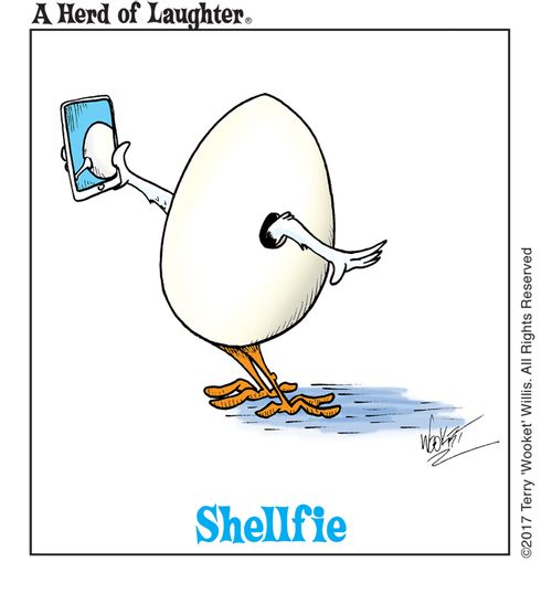 Shellfie