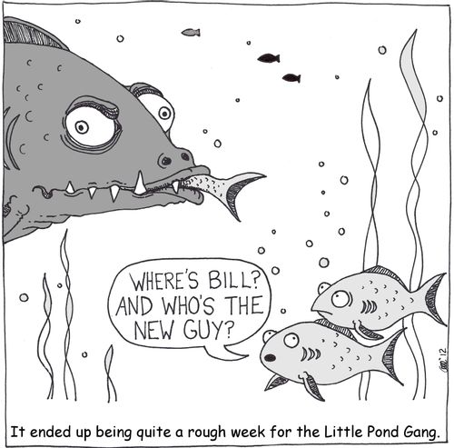 It ended up being quite a rough week for the Little Pond Gang.