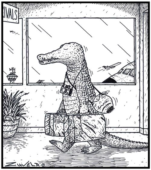 A Holidaying Crocodile has arrived at an Airport with his favourite Human-skin travel bags.      