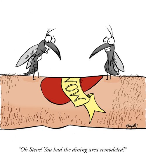 'Oh Steve! You had the dining area remodeled!'