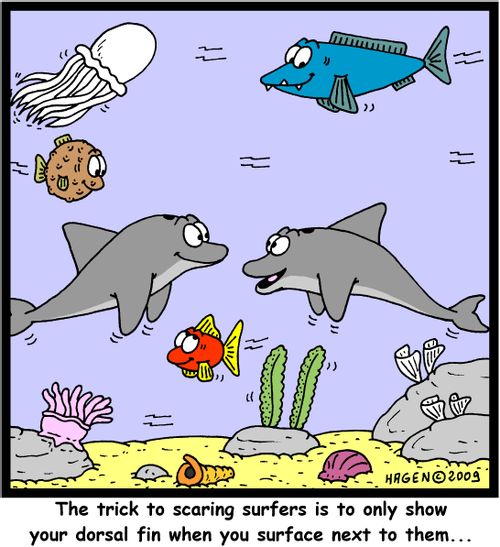 'The trick to scaring surfers is to only show your dorsal fin when you surface next to them...'