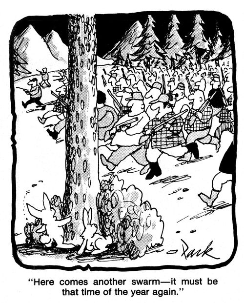'Here comes another swarm, it must be that time of year again.'