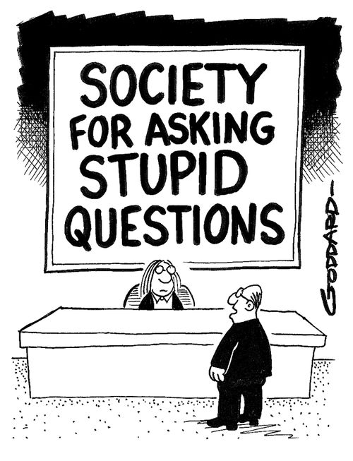 Society for Asking Stupid Questions