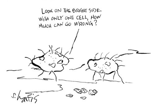 'Look on the bright side. With only one cell, how much can go wrong?'