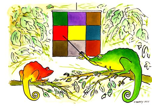 Chameleons teaching each other the colour chart.