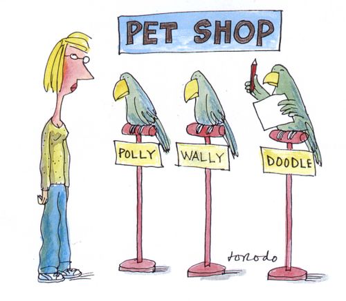 Polly, Wally, and Doodle (parrots).