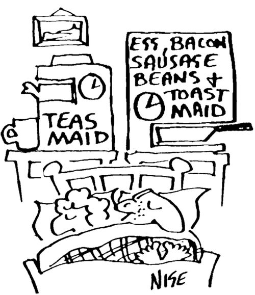 Teasmaid / Egg, saudage, beans and toast maid.
