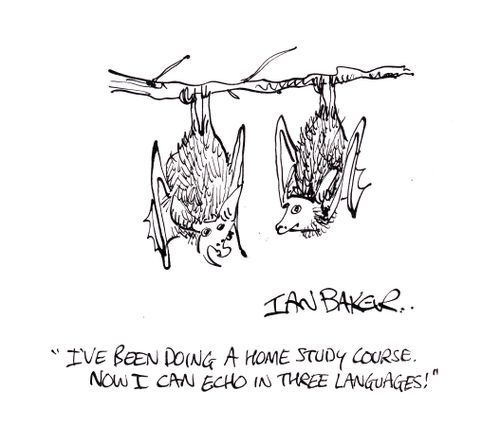 'I've been doing a home study course. Now I can echo in three languages!'