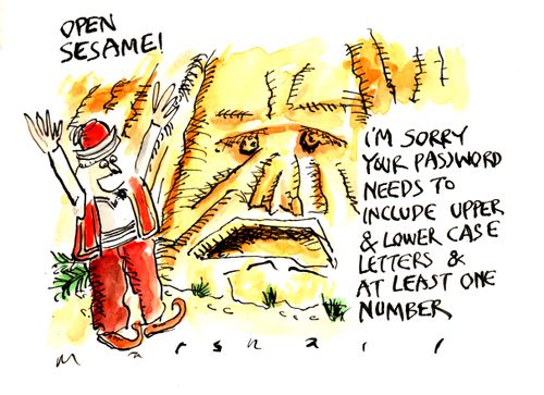 "I'm sorry your password needs to include upper & lower case letters & at least one number."