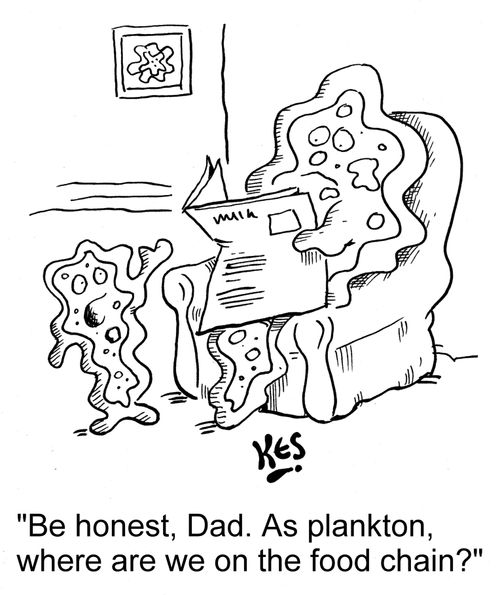 'Be honest, Dad. As plankton, where are we on the food chain?'