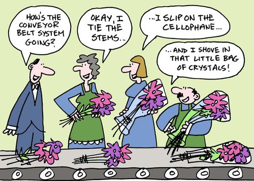 "How's the conveyor belt system going?"  "Okay, I tie the stems..."  "I slip on the cellophane..."  "And I shove in that little bag of crystals!"