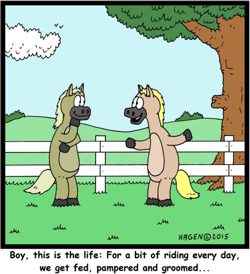 "Boy, this is the life: For a bit of riding every day, we get fed, pampered and groomed..."