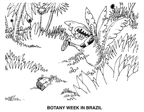 Botany week in Brazil