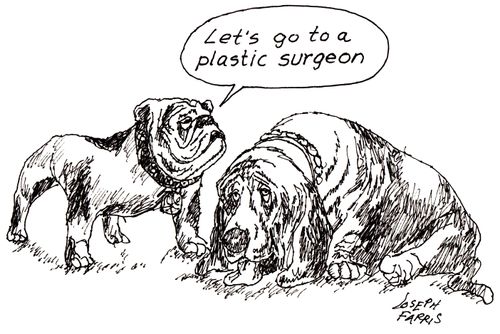 'Let's go to a plastic surgeon.'