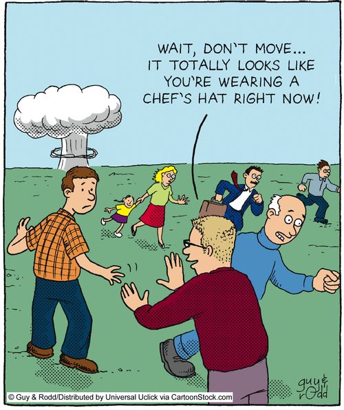 'Wait, don't move...it totally looks like you're wearing a chef's hat right now!'