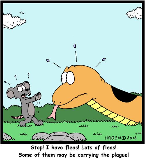 "Stop! I have fleas! Lots of fleas! Some of them may be carrying the plague!"