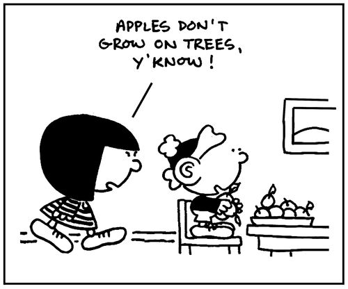 'Apples don't grow on trees you know.'