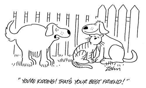 "You're kidding! That's your best friend!"
