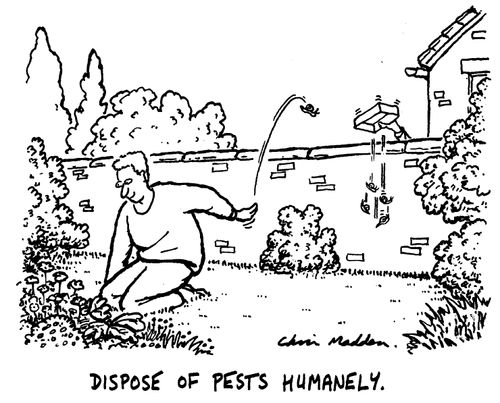 Dispose of pests humanely