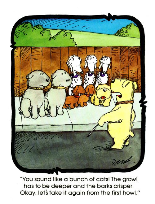 'You sound like a bunch of cats! The growl has to be deeper and the barks crisper. Okay, let's take it again from the first howl.'