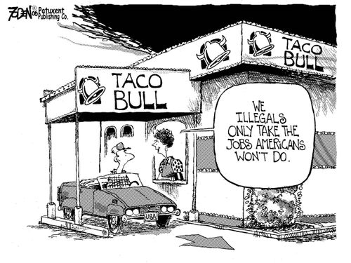 Taco Bull