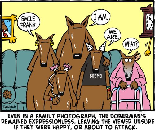Even in a family photograph, the Doberman's remained expressionless, leaving the viewer unsure if they were happy, or about to attack.