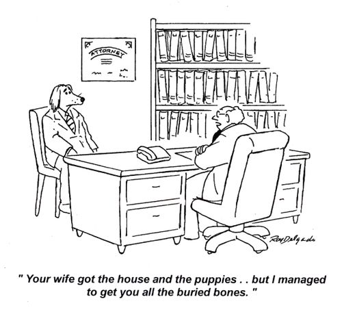 'Your wife got the house and the puppies.. but I managed to get you all the buried bones.'