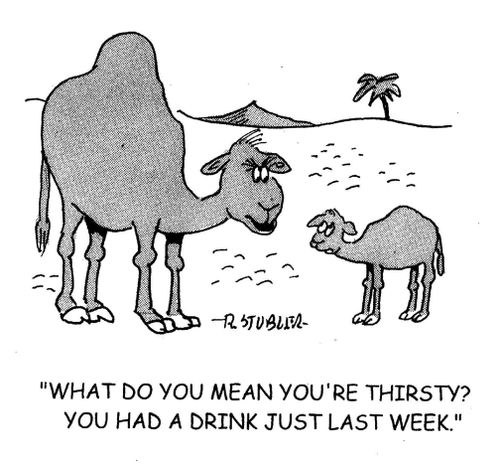 'What do you mean you're thirsty? You had a drink just last week.'