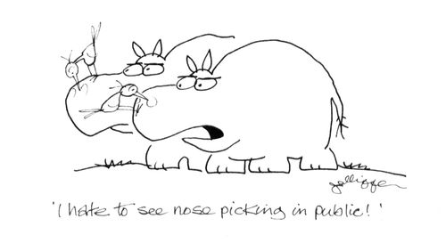 'I hate to see nose picking in public!'