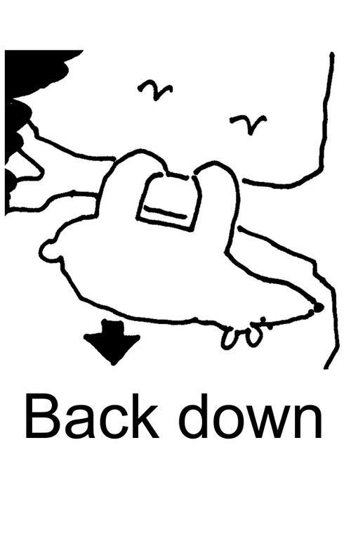 Back down.
