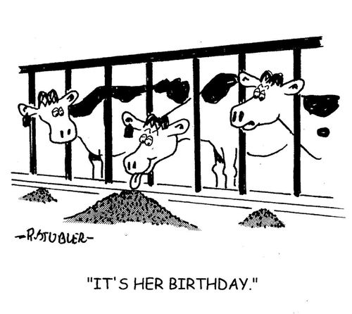 'It's her birthday.'