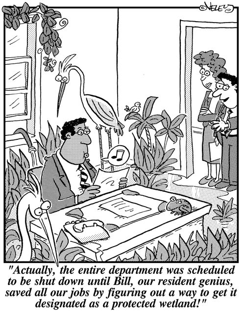 'Actually, the entire department was scheduled to be shut down until Bill, our resident genius, saved all our jobs by figuring out a way to get us designated as a protected wetland!'