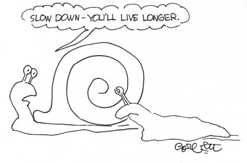 'Slow down - you'll live longer,'