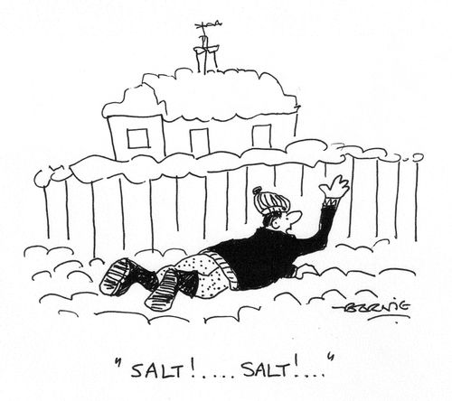 'Salt!... Salt!...'