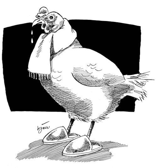 Bird Flu.