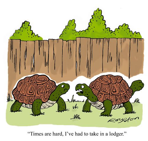 Tortoise says: 'Times are hard, I've had to take in a lodger.'