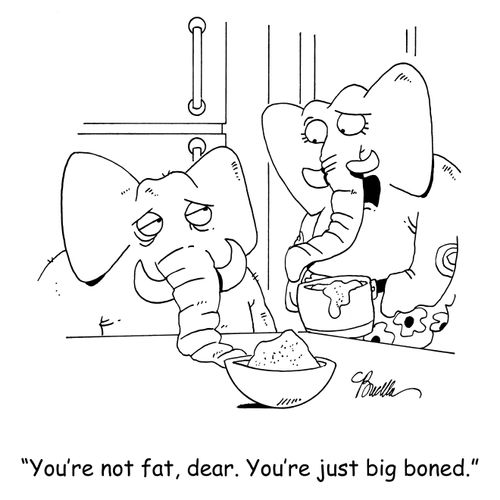 'You're not fat, dear, You're just big boned,'