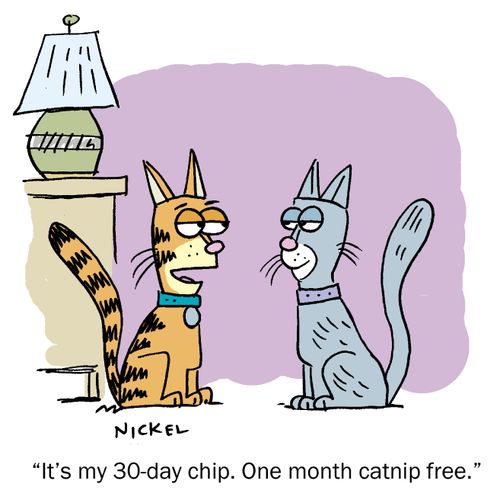 "It's my 30-day chip. One month catnip free."