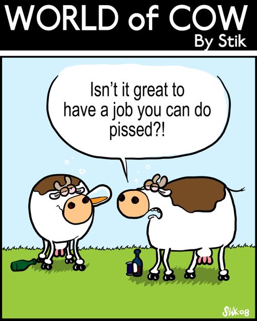 Isn't it great you can have a job you can do pi**ed?!