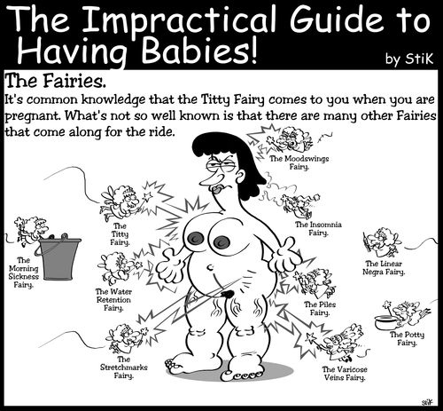 The Impractical Guide to having a baby.