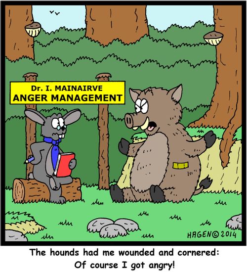 'The hounds had me wounded and cornered: Of course I got angry!'