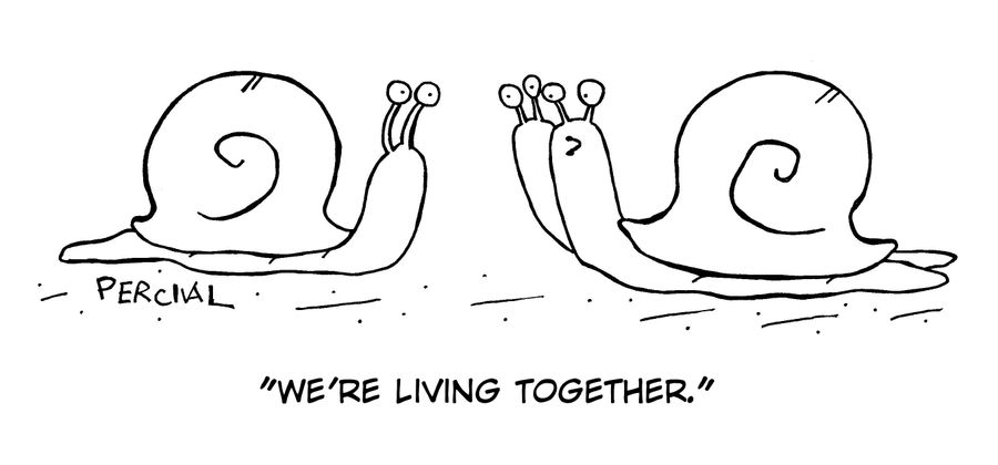 'We're living together.'