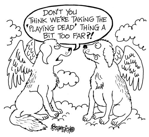 "Don't you think we're taking the 'playing dead' thing a bit too far?!"