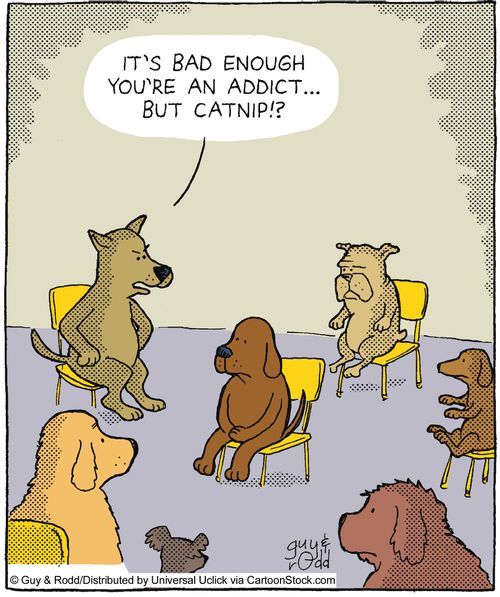 'It's bad enough you're an addict, but to catnip?'