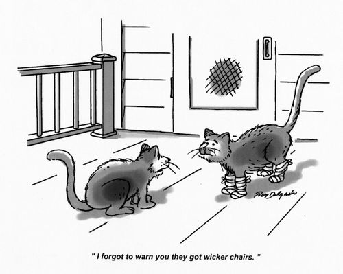 'I forgot to warn you they got wicker chairs.'