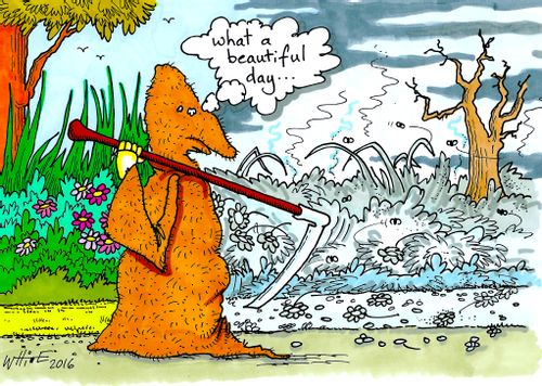 "What a beautiful day..."