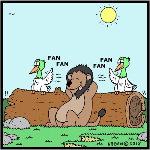 Lion being cooled down by birds fanning him.